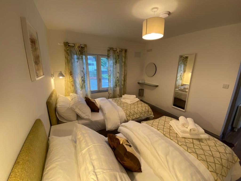 Location Location - Gorgeous 3 Bed Apartment In Killarney Eksteriør bilde